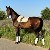 В троеборье 