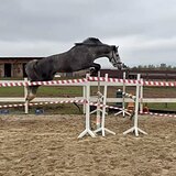 В конкур срочно!