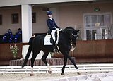 ЧЕМПИОН В ВЫЕЗДКУ