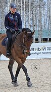 НЕМЕЦКАЯ КОБЫЛА 6 ЛЕТ