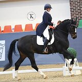 ВЕСТФАЛЬСКАЯ КОБЫЛА НА СП1