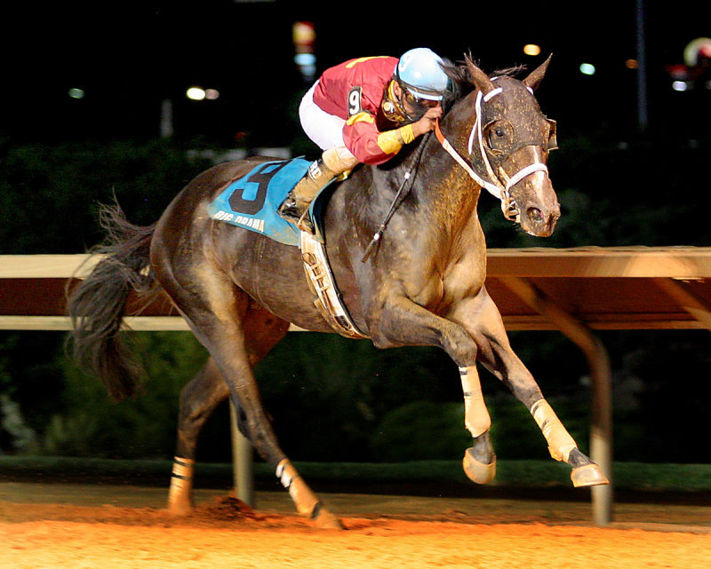 Ипподром Charles Town 2009 год, скачка Red Legend Stakes