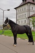 Самый лучший 