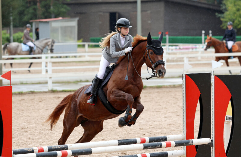 БРУСНИКА-15 и Бохман Валерия