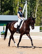 детские езды + все элементы