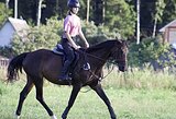 В ЛЮБИТЕЛЬСКИЙ КОНКУР/ХОББ