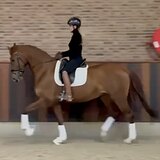 JUST FOR YOU X VIVALDI