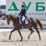 ВЫСТУПАЛА В ТРОЕБОРЬЕ ЛК100