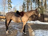Хобби мер. 2013 гр, 162 вх