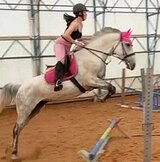 КОБЫЛА В ХОББИ