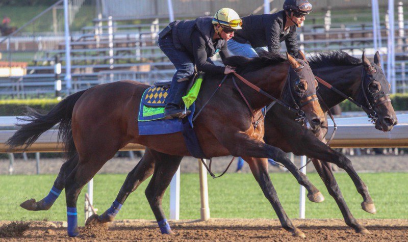 Ипподром Santa Anita Park