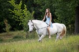 Мерин хобби-класса 