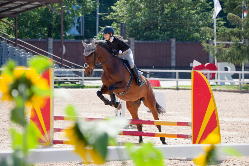 ПАНИФЕЯ-11 и Златопольская Диана