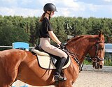МЕРИН 9 ЛЕТ 165 СМ В ХОЛКЕ