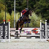 ЦЕНА ЗНАЧИТЕЛЬНО СНИЖЕНА