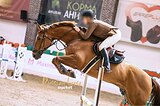 Подойдёт под уверенного вс