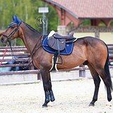 СТАРТОВЫЙ ОПЫТ ДО 90 СМ
