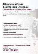 Аренда лошадей/занятия с тренером