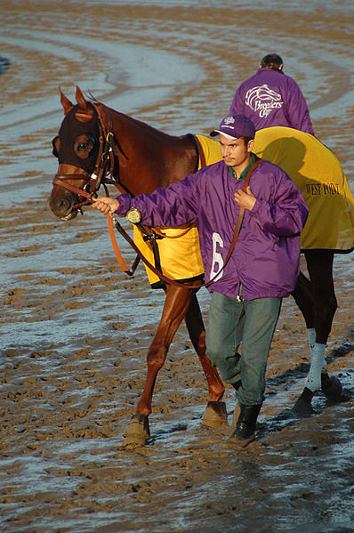 Ипподром Santa Anita 2007 год, скачка Breeders' Cup Stakes 