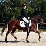 ЮНОШЕСКИЕ ЕЗДЫ ОТ 65%