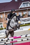 КОБЫЛА НА МАРШРУТЫ 125