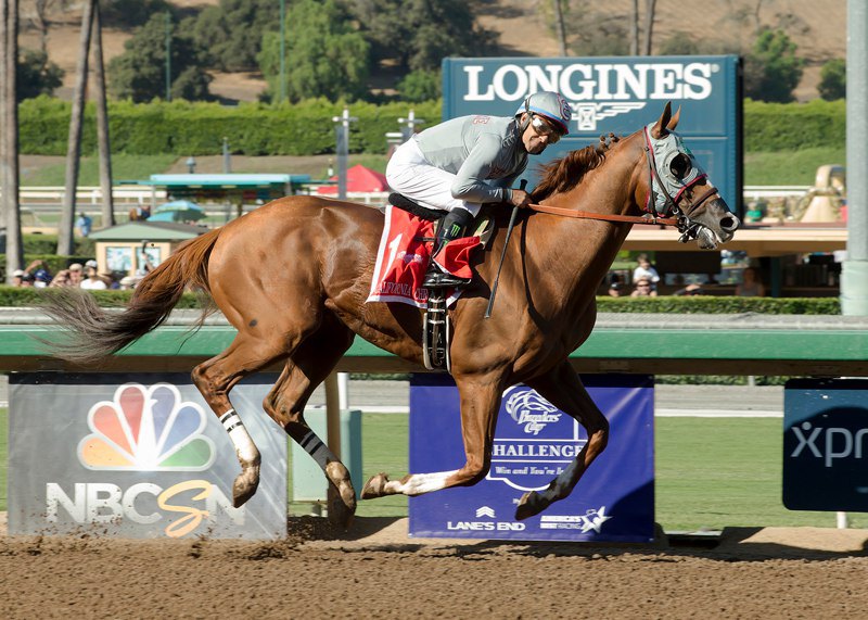 Ипподром Santa Anita Park 2016 год, скачка Awesome Again Stakes - Gr. 1