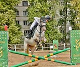 кобыла в конкур / хобби