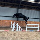 3 года от Dominator 2000 Z