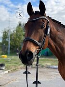 УЧИТЕЛЬ В ЛЮБУЮ ДИСЦИПЛИНУ 