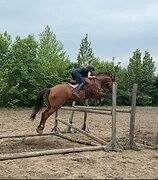 идеален для детей и начинаю