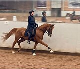 ОДНО ИЗ ЛУЧШИХ ПРЕДЛОЖЕНИЙ 