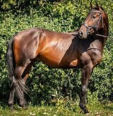 МАРШРУТЫ 90-100 • ПЕРСПЕКТИВН