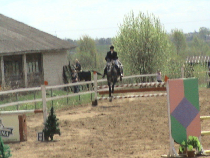 Соревнования по конуру в КСК "Всадник", 11.05.2008