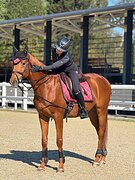 УЧИТЕЛЬ ЮНОШИ, КОНКУР ДО 80 С