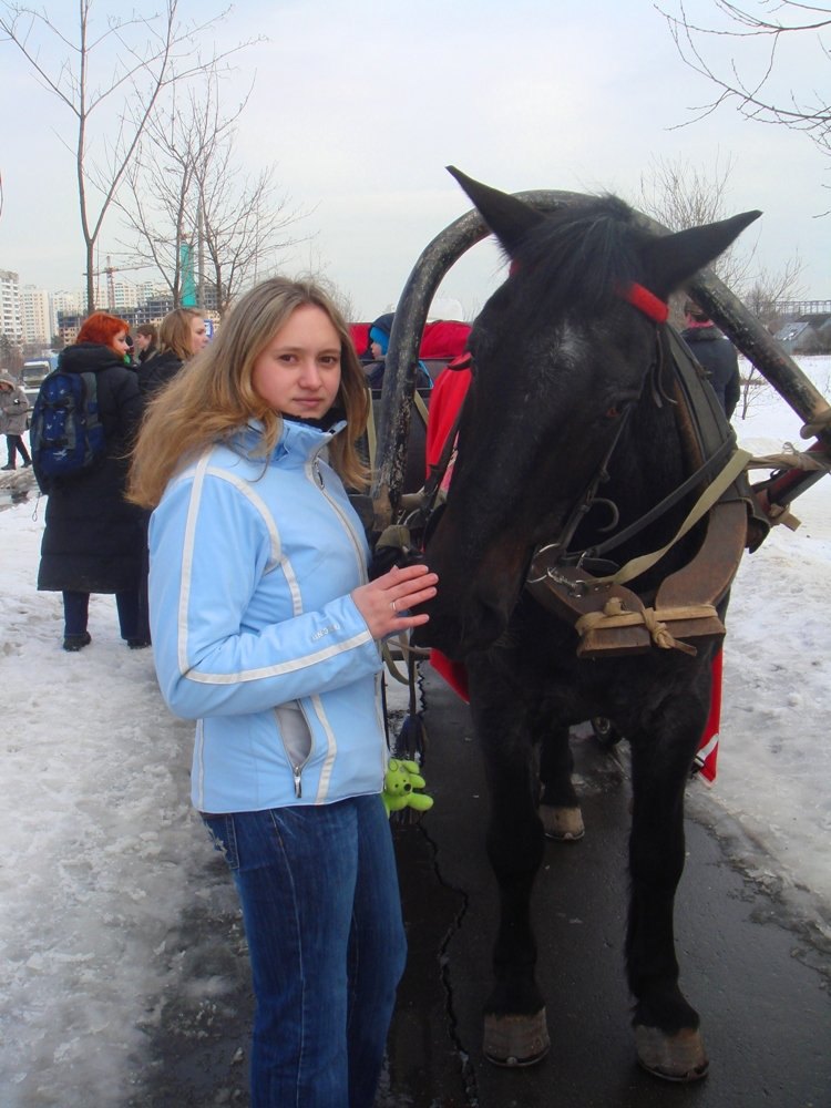 Серый на масленице