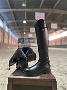 Зимние сапоги FLC для конного спорта