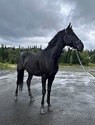 МАРШРУТЫ 130