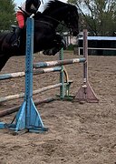 Мерин под ребёнка!