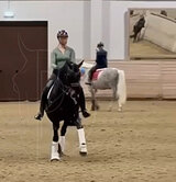 KWPN, от Десперадос