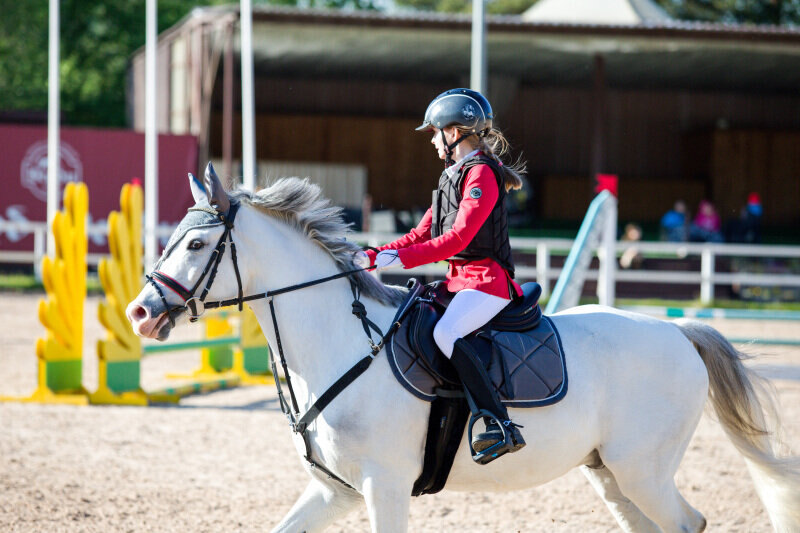 СИЛЬВЕР ШАЙН-19 (142) и Клыковская Елизавета