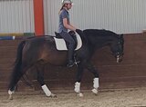 Мерин в спорт