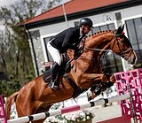 СТАРТОВЫЙ ОПЫТ ДО 140 СМ