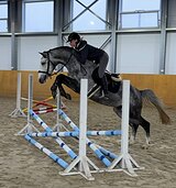 Balou Boy van Magic 4 года 