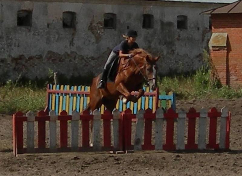 Вот откопала фото моей ПЕРВОЙ любимой лошади... Навсегда, лучшего друга... =(((