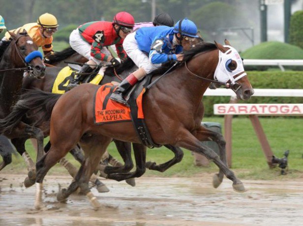 Ипподром Саратога 2013 год. Скачка Woodward Stakes.