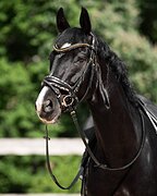 До 15.12 можно посмотреть в МО