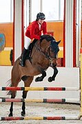 КОБЫЛА 1/2 ИМПОРТ