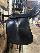 Prestige Top Dressage 17