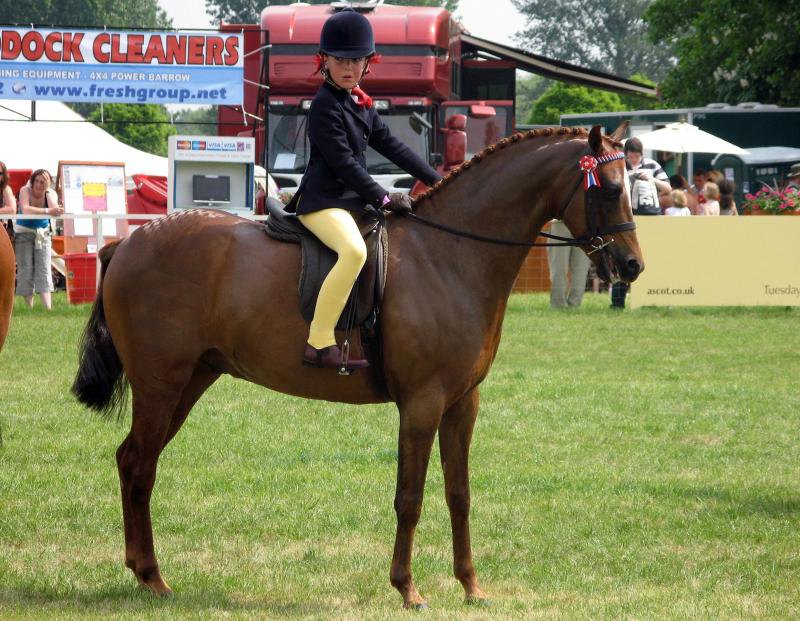 Royal Windsor Horse Show, UK