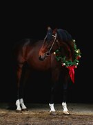 в спорт с перспективой